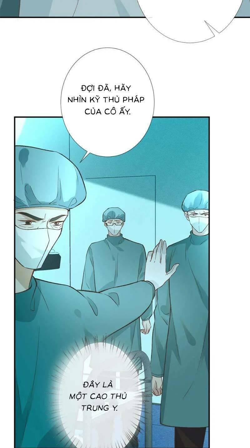 ôm khẩn tiểu mã giáp của tôi chương 246 - Next Chapter 246