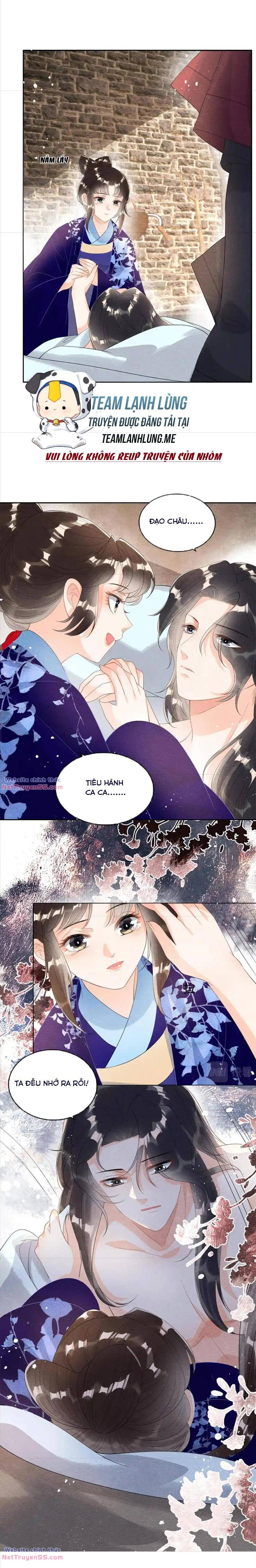 tiêu rồi, lại bị bệnh kiều để mắt đến! chapter 50 - Next chapter 51