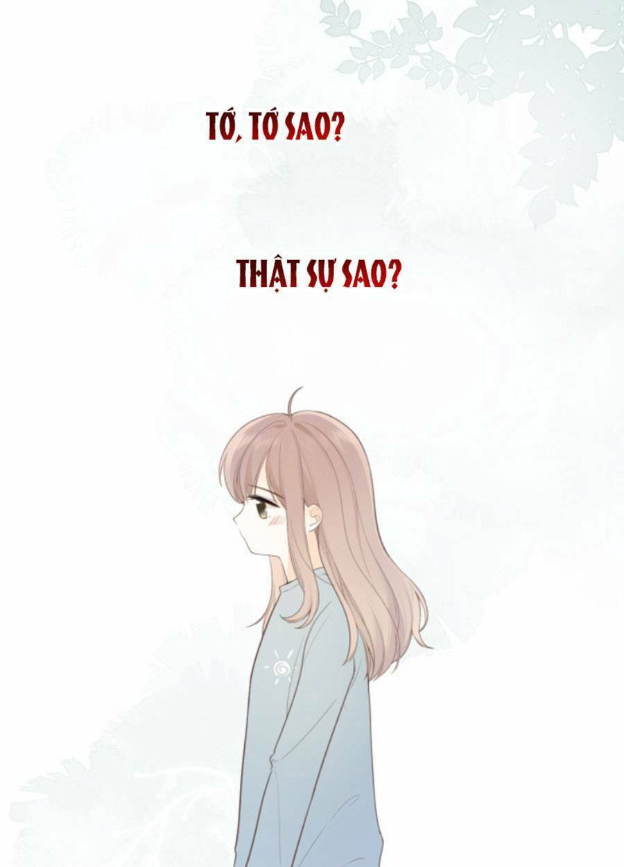 tình yêu duy nhất của tôi chapter 22 - Next chapter 23