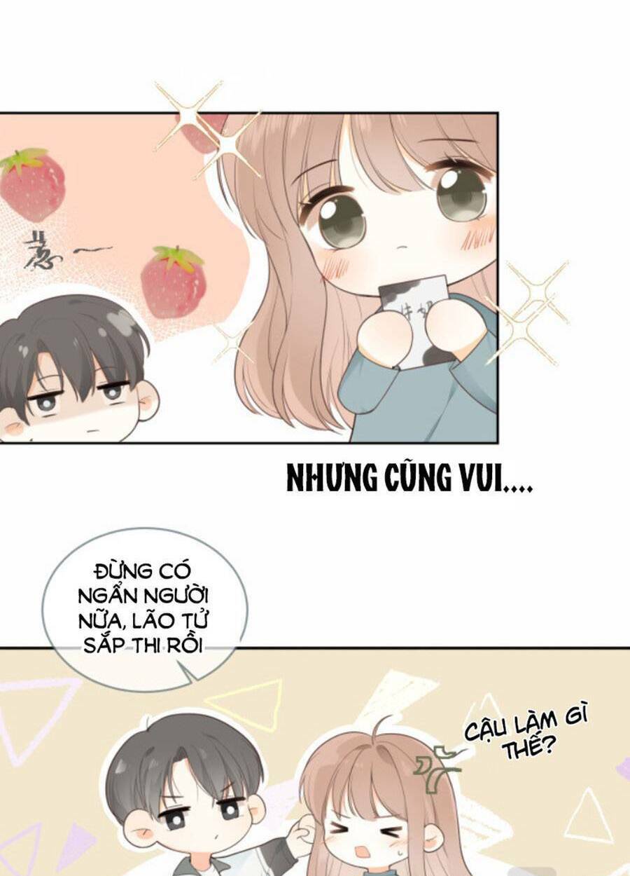 tình yêu duy nhất của tôi chapter 22 - Next chapter 23