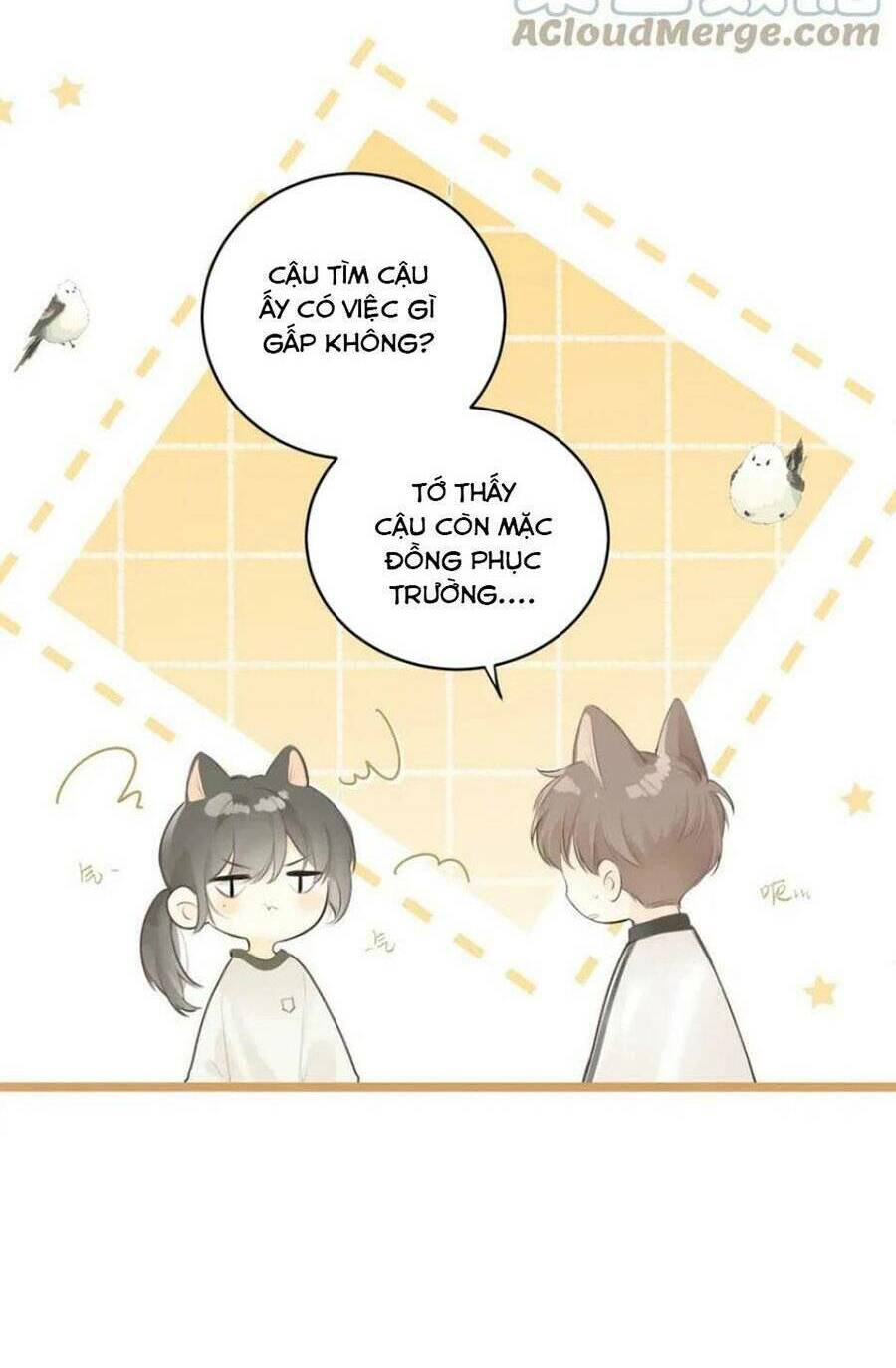 tình yêu duy nhất của tôi Chapter 34 - Next Chapter 35