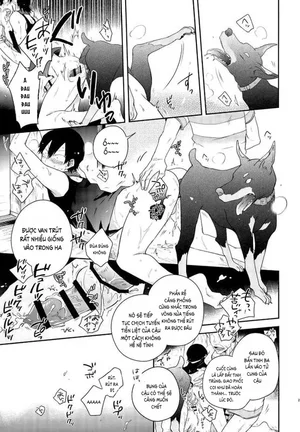 Đồ Chơi Tình Thú