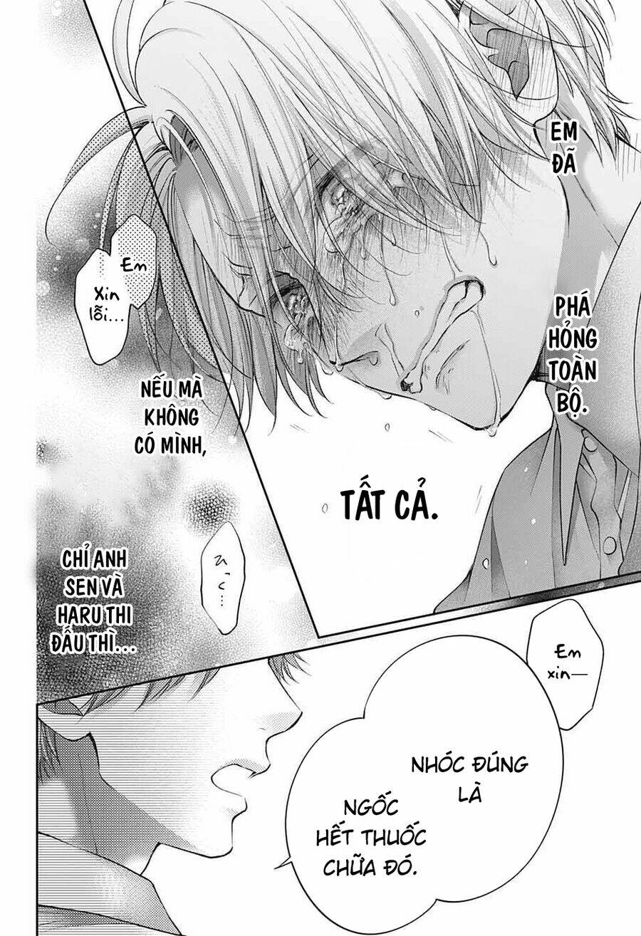 kono oto tomare! chapter 123 - Next chương 124