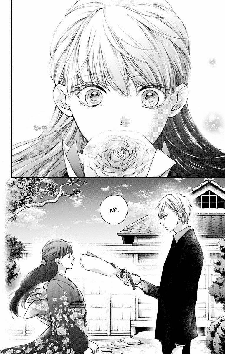 kono oto tomare! chapter 69: một bông hoa - Next chapter 70: i