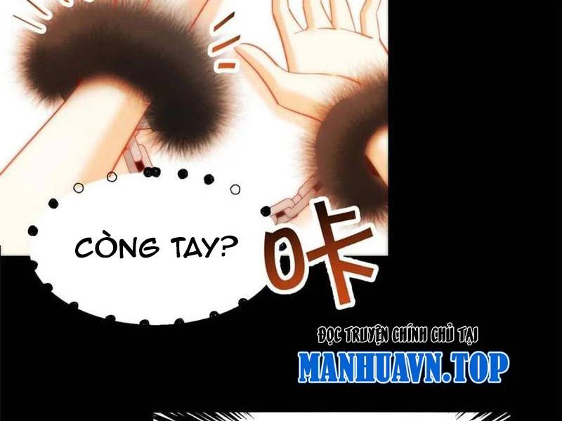 trọng sinh không làm chạn vương, tôi một mình nạp game thăng cấp Chapter 91 - Next Chapter 91