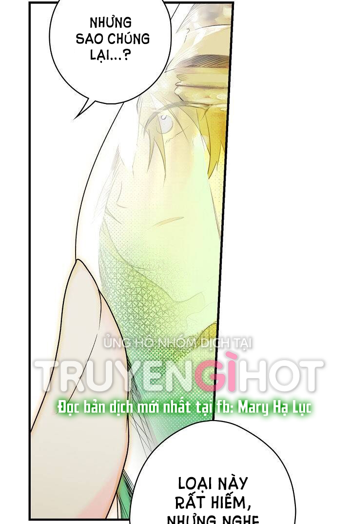 Quý Cô Bí Ẩn - Secret Lady Chapter 15 - Trang 2