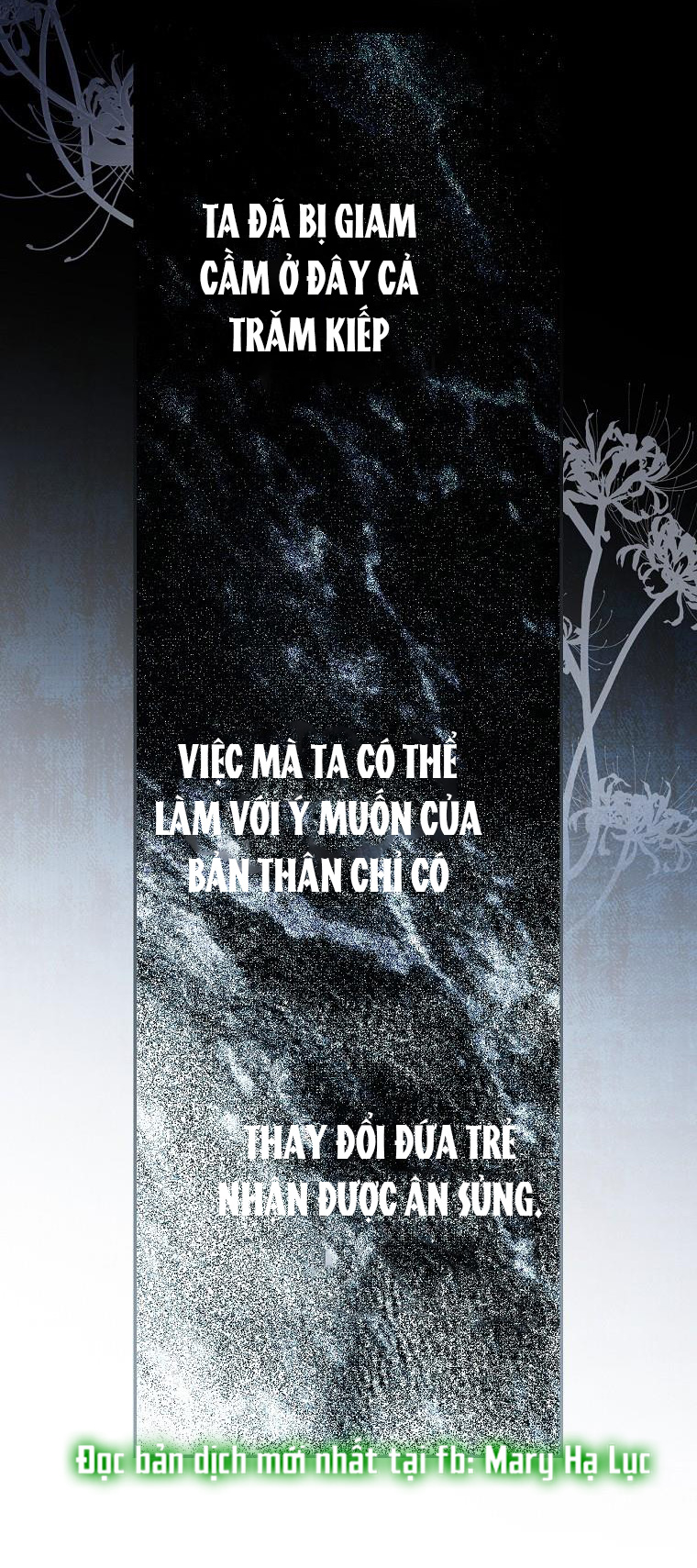 Quý Cô Bí Ẩn - Secret Lady Chapter 68.1 - Trang 2