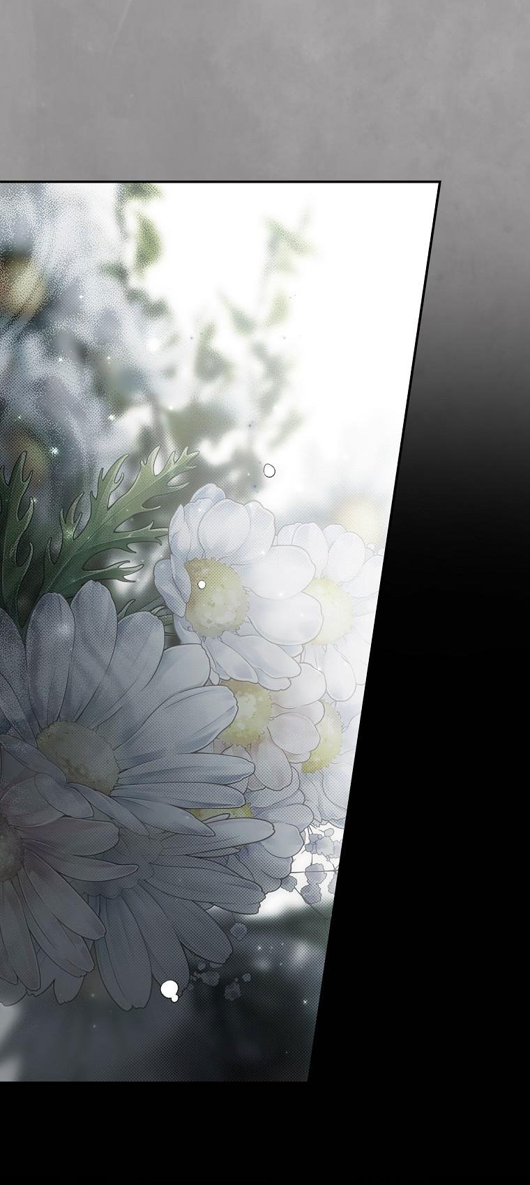 Quý Cô Bí Ẩn - Secret Lady Chapter 74.1 - Trang 2