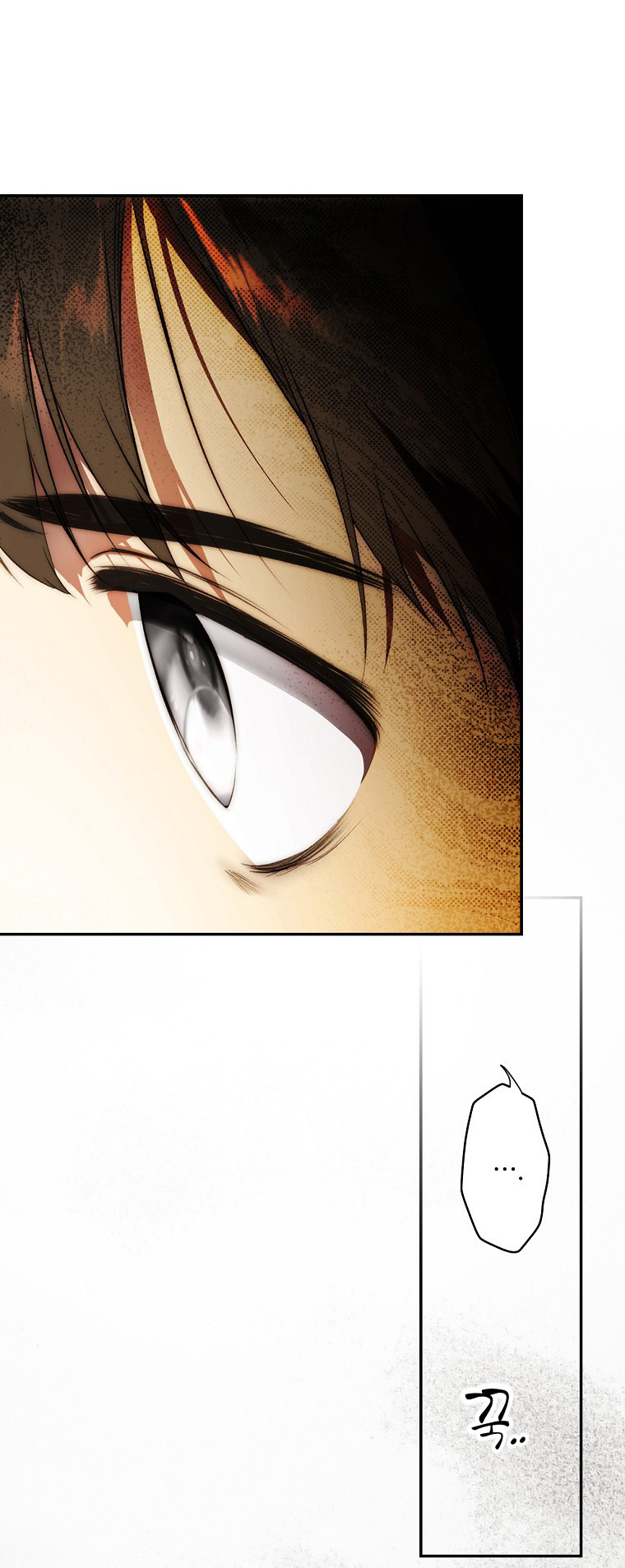 Quý Cô Bí Ẩn - Secret Lady Chapter 79.1 - Trang 2