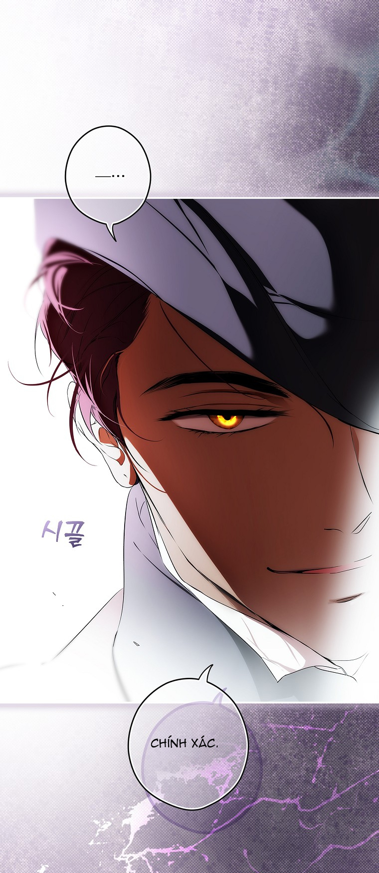 Quý Cô Bí Ẩn - Secret Lady Chapter 94.2 - Trang 2