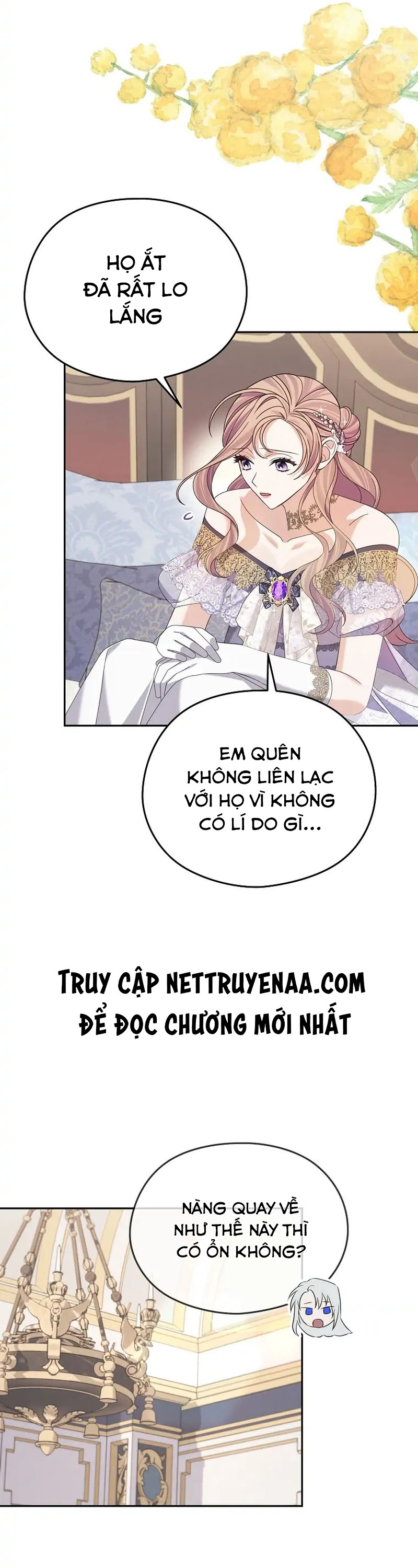 Cây Cúc Tây Thân Yêu Của Tôi Chapter 43 - Next Chapter 44