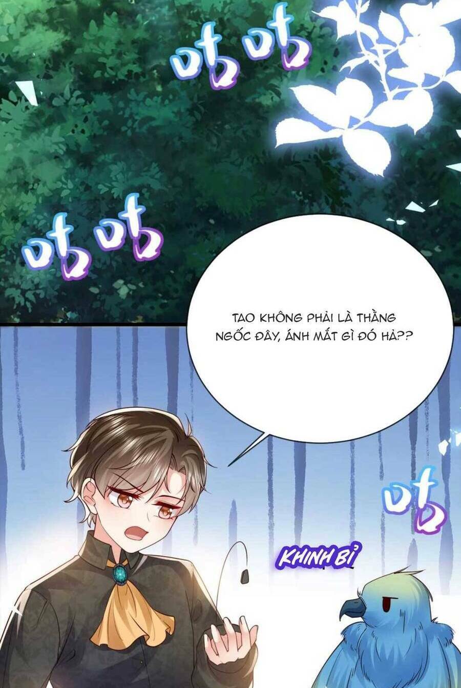 công chúa bị ruồng bỏ chapter 26 - Next Chapter 26.1