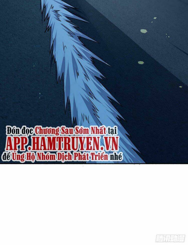 đại vương tha mạng chapter 242 - Next chapter 243