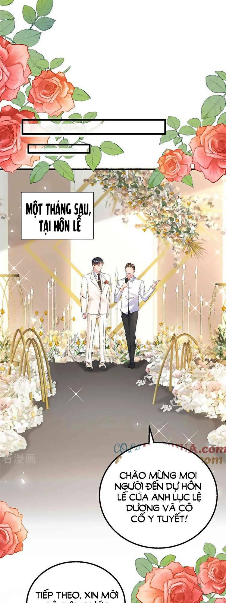 hôm nay từ chối lục tiên sinh chưa? chapter 205 - Next 