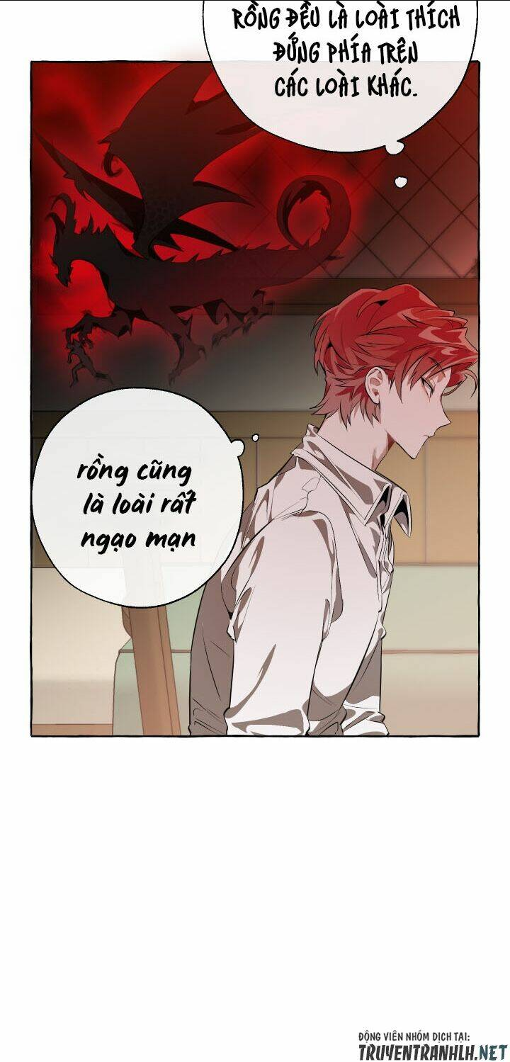 sự ra đời của một anh hùng chapter 17 - Next Chapter 17