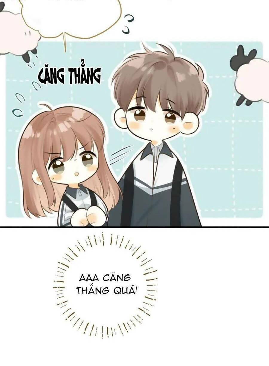 tình yêu duy nhất của tôi chapter 41 - Next chapter 42