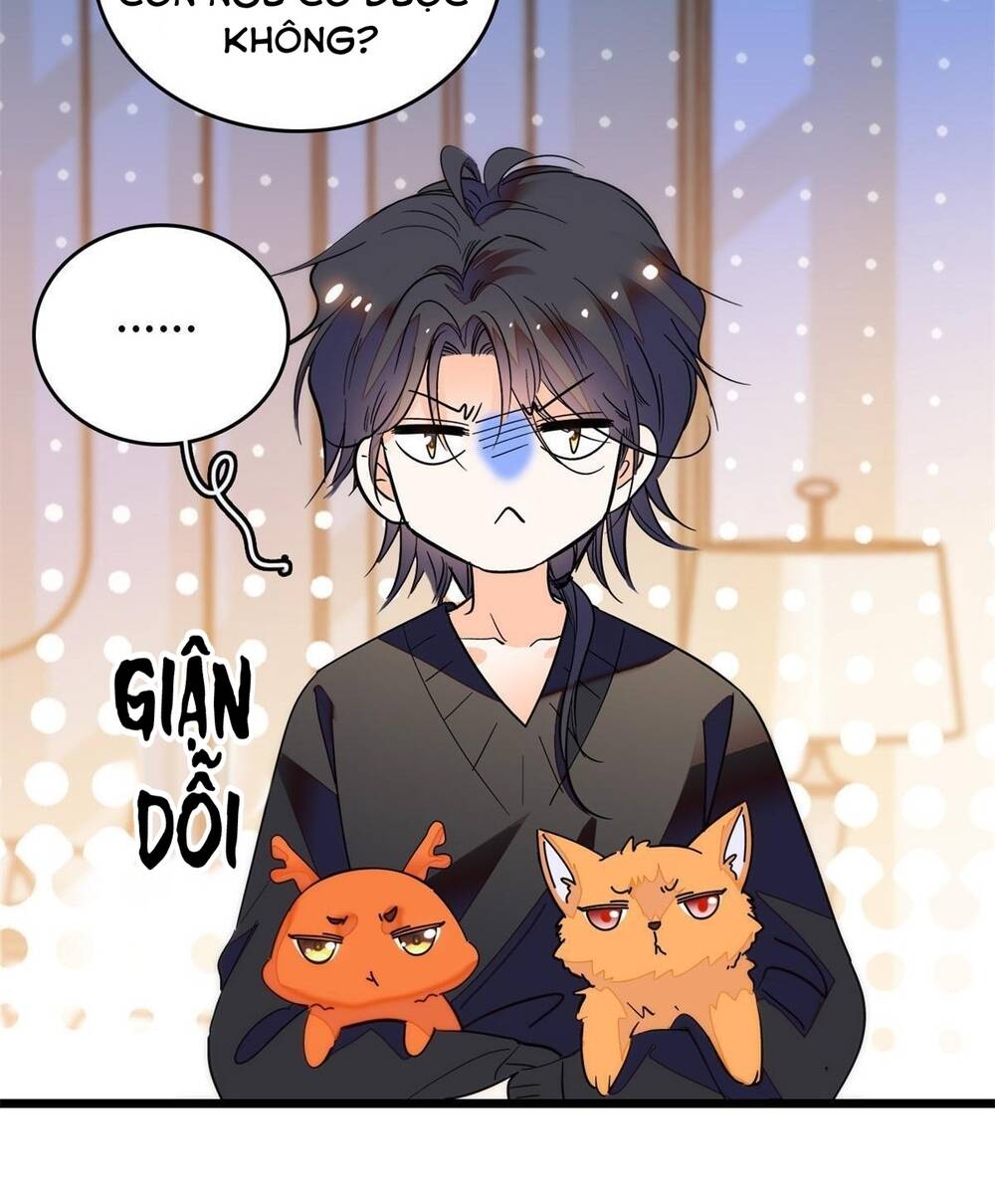 toàn mạng đều là fan cp của tôi với ảnh đế chapter 249 - Next chapter 250