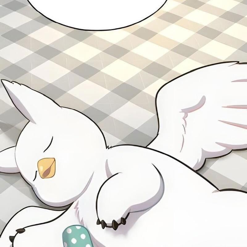 Chào Nhé Griffin Mắt Tròn! Chapter 3 - Trang 2