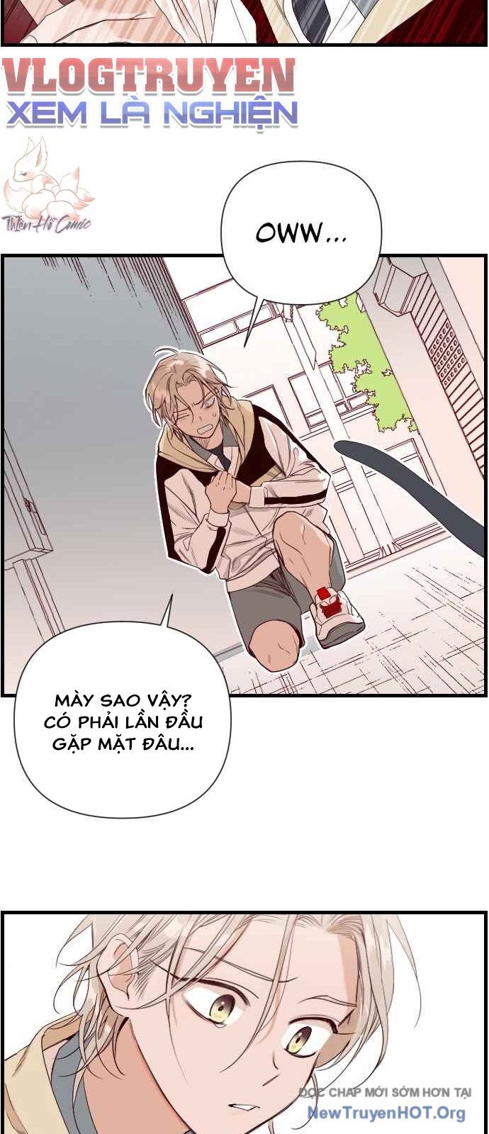Cú Bắn Quỷ Chapter 2 - Next Chapter 3