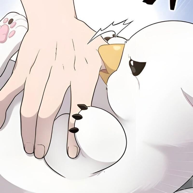 Chào Nhé Griffin Mắt Tròn! Chapter 2 - Trang 2