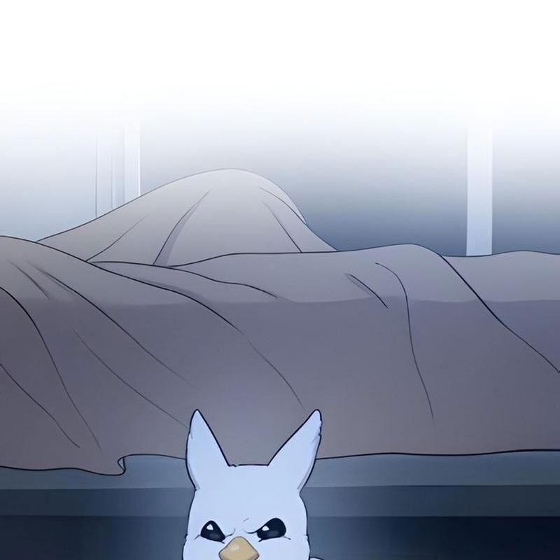 Chào Nhé Griffin Mắt Tròn! Chapter 2 - Trang 2