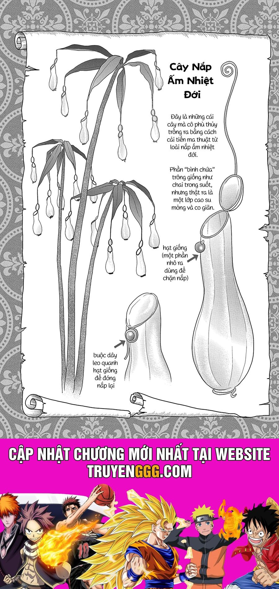 Champignon No Majo Chapter 1 - Next Chapter 2