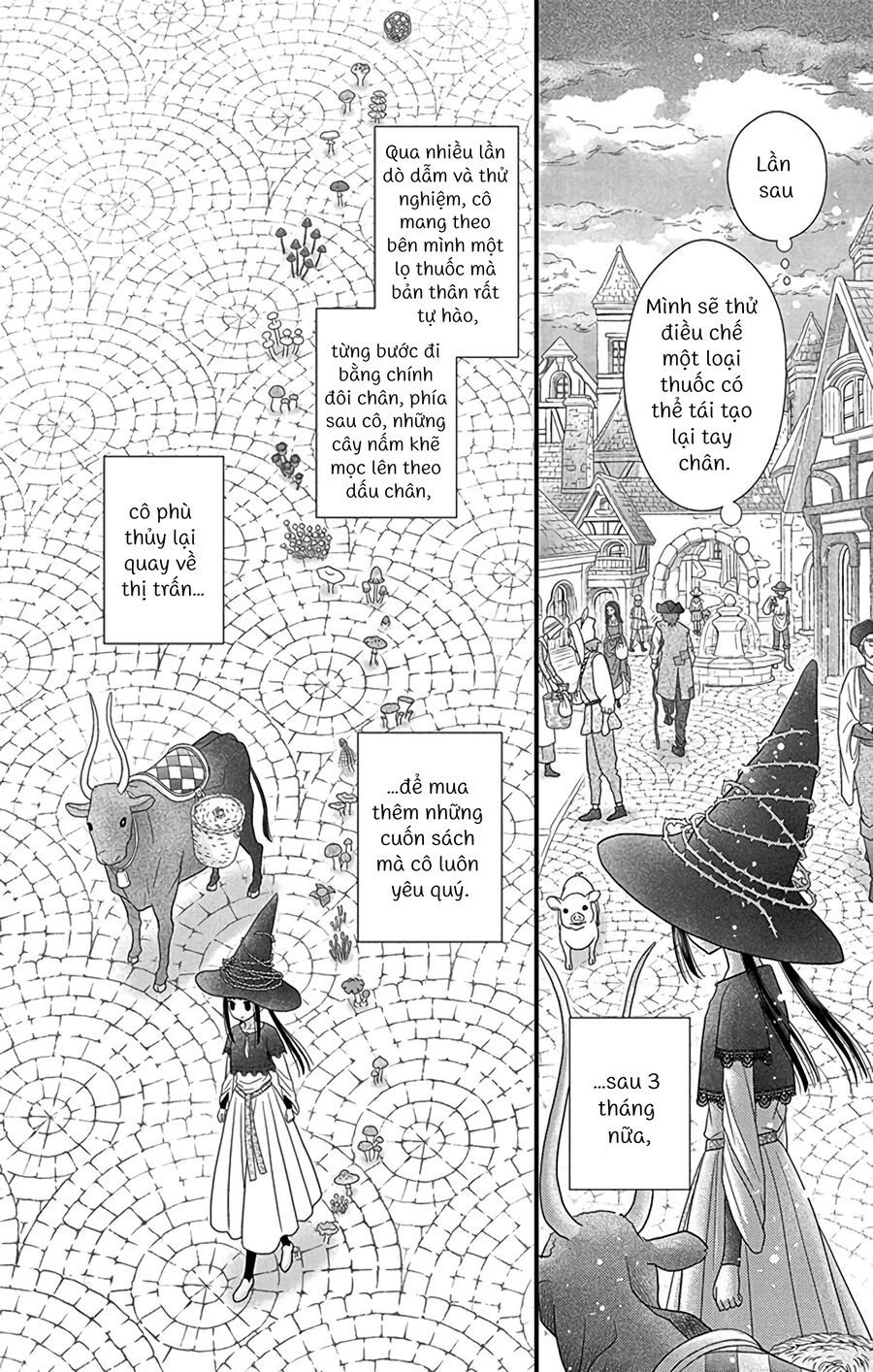 Champignon No Majo Chapter 1 - Next Chapter 2