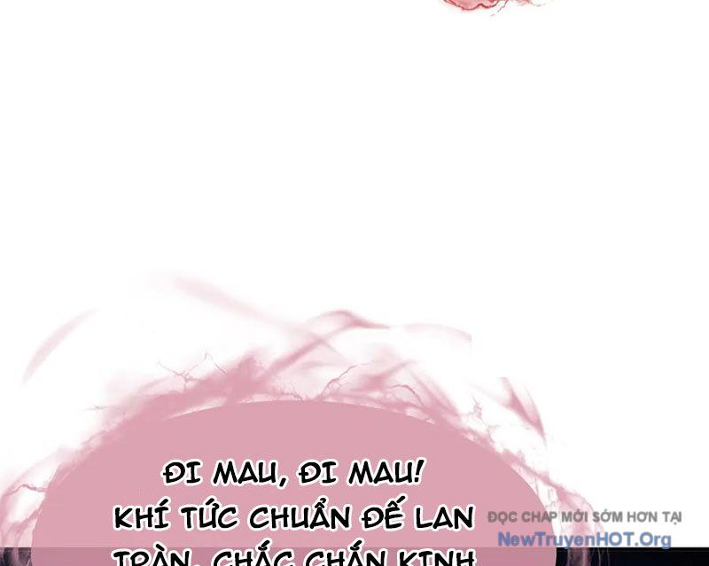 Sư Tôn: Nghịch Đồ Này Mới Không Phải Là Thánh Tử Chapter 137 - Trang 2