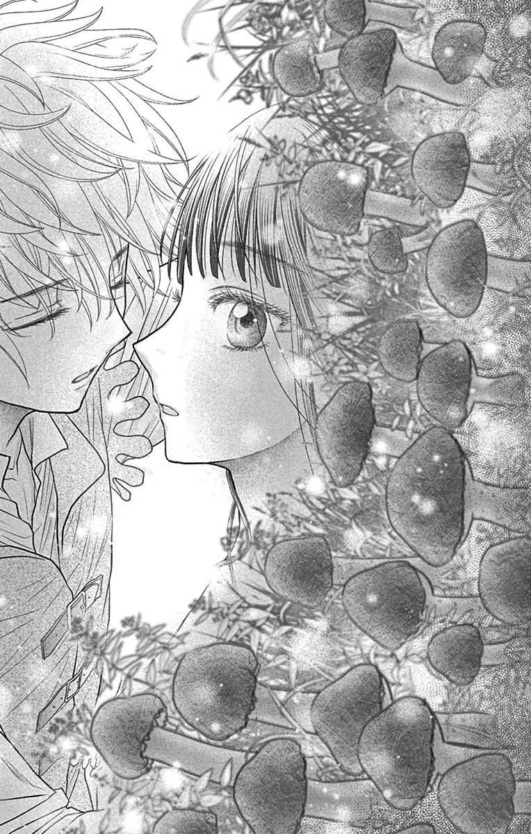 Champignon No Majo Chapter 4 - Next Chapter 4.5