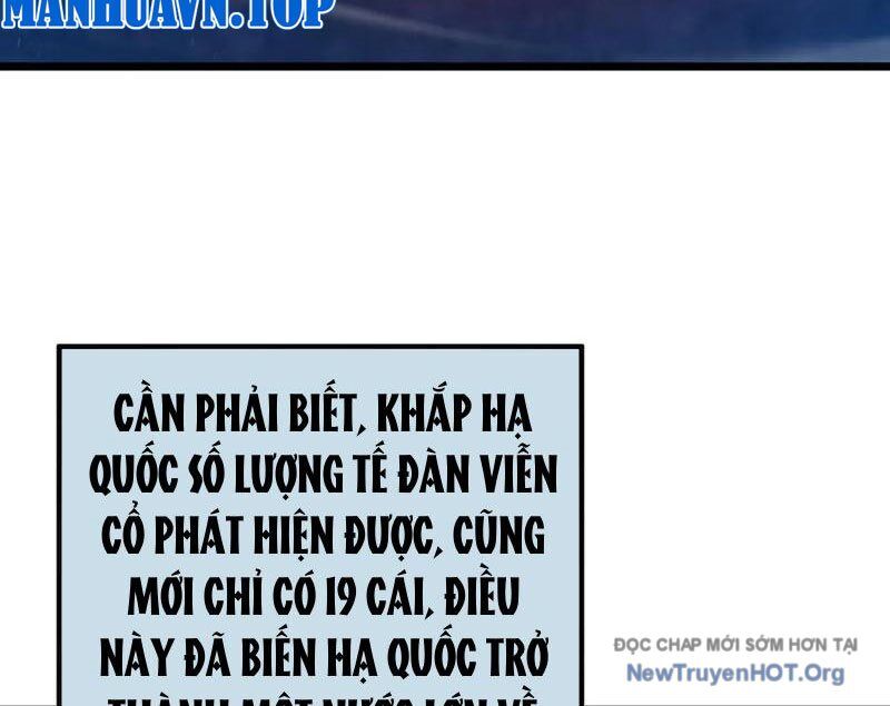 Vô Địch Bị Động Tạo Ra Tấn Sát Thương Chapter 99 - Trang 2