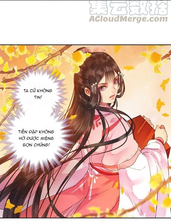 Trường Tương Tư Chapter 75 - Next Chapter 76