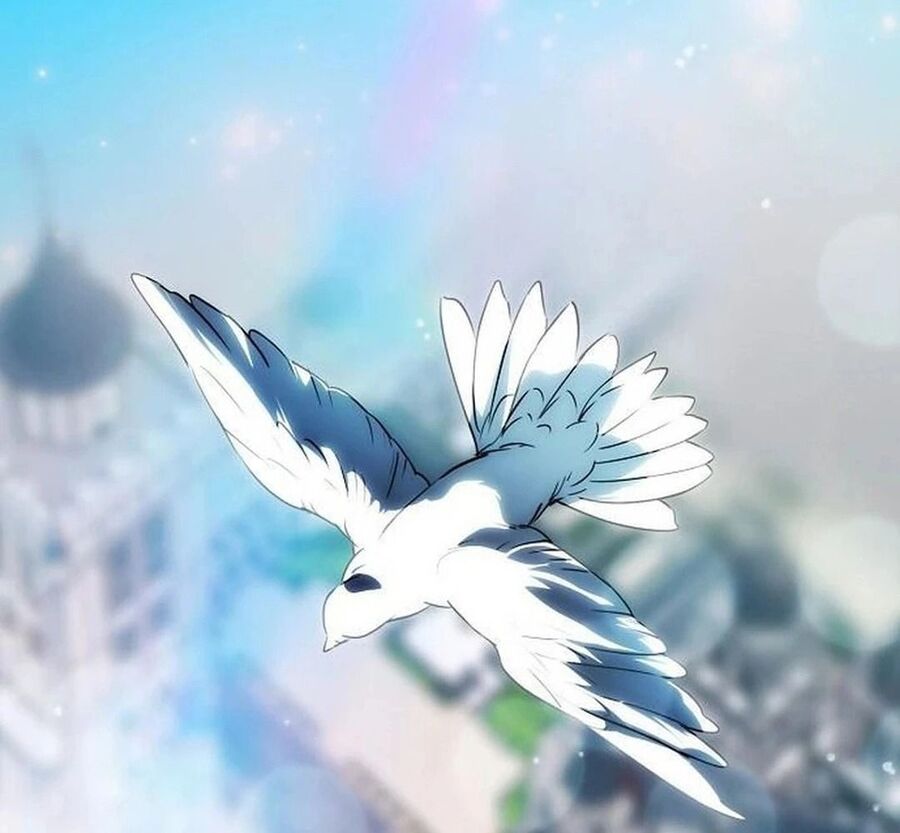 Bị Che Khuất Bởi Mặt Trời Lặn Chapter 209 - Trang 2