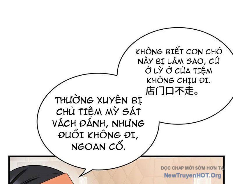 Hóa Ra Ta Là Đời Sau Của Yêu Quái Chapter 21 - Next Chapter 22