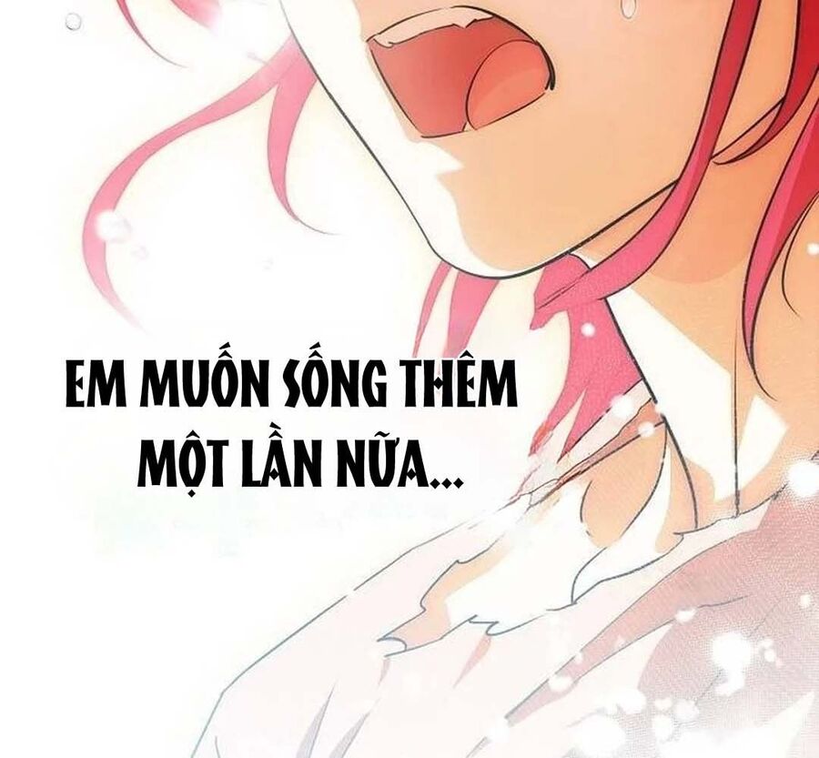Bị Che Khuất Bởi Mặt Trời Lặn Chapter 202 - Trang 2