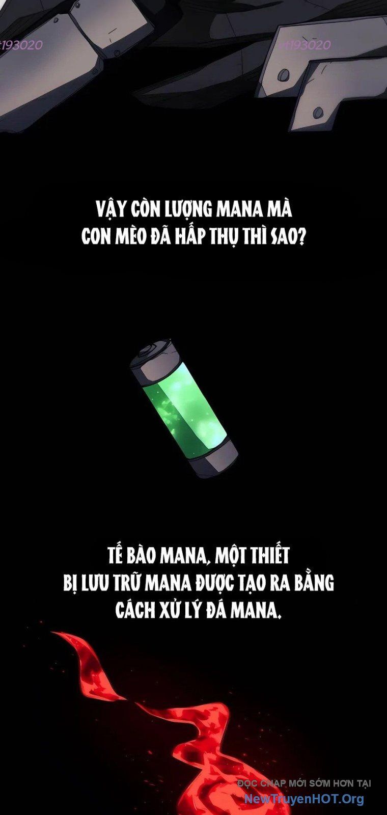Chỉ Là Một Con Mèo Chapter 8 - Next Chapter 9