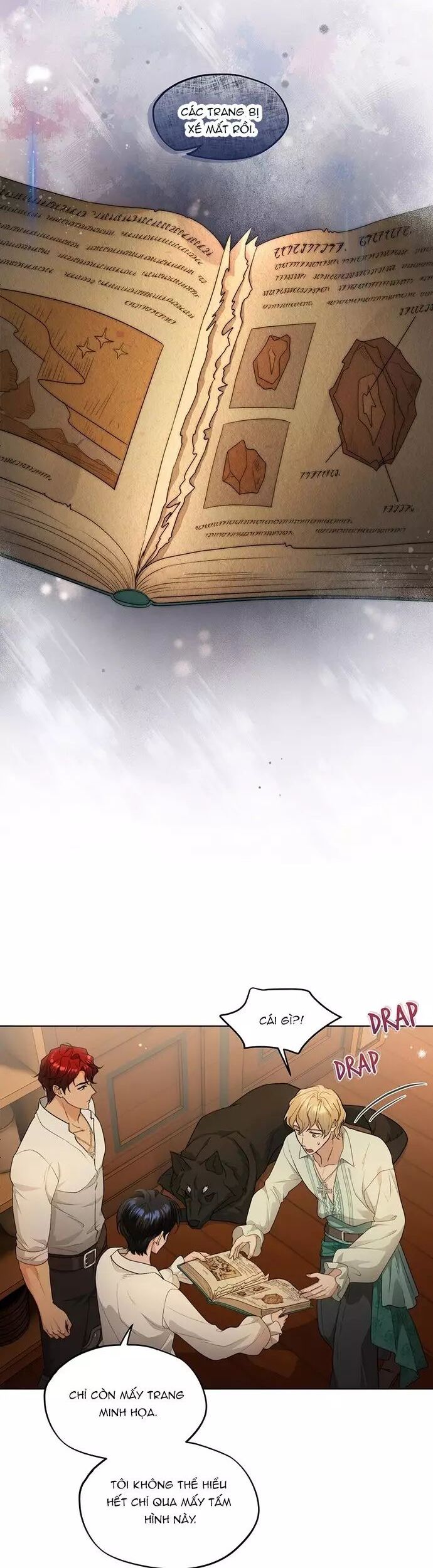 Hải Âu & Sói Hoang Chapter 26 - Trang 2