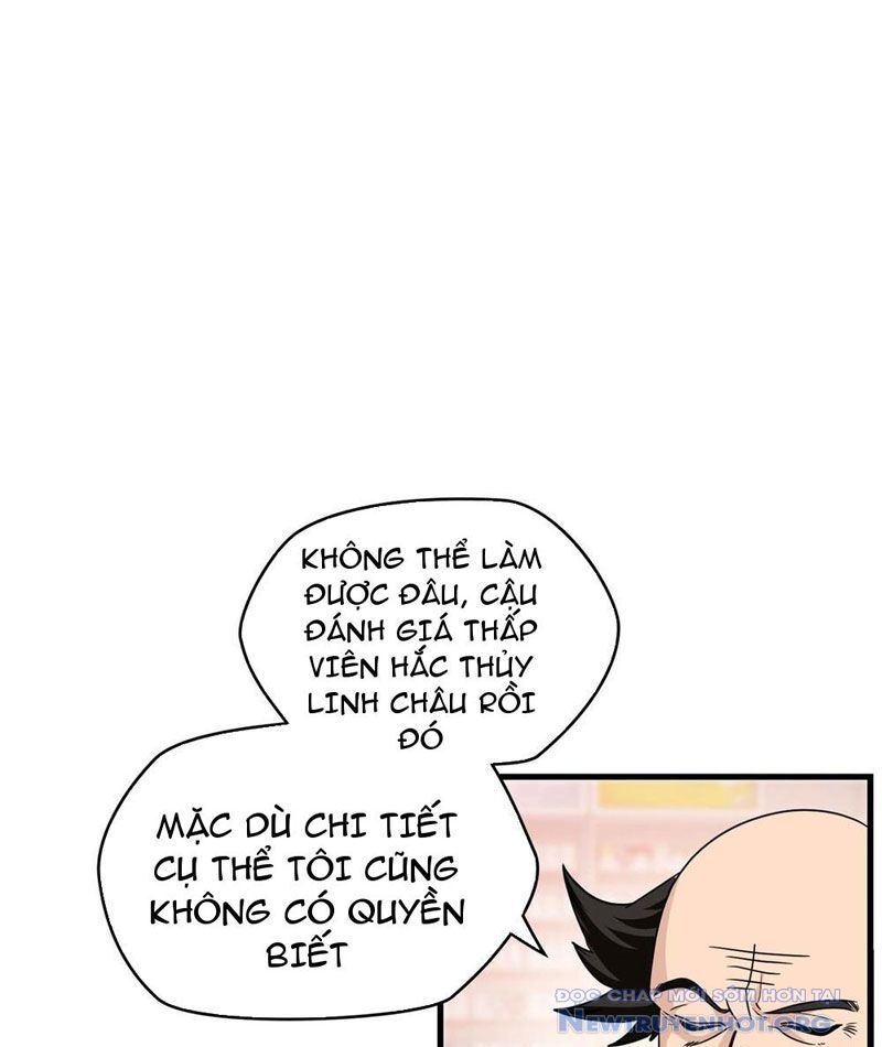 Hóa Ra Ta Là Đời Sau Của Yêu Quái Chapter 12 - Next Chapter 13