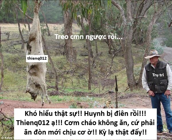 Hổ Đến Chơi Nhà (Puchimasu Miếu) Chapter 148 - Trang 2