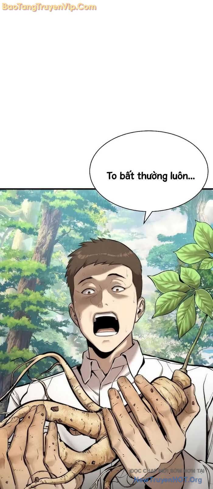 Tôi Hồi Sinh Vào Cuốn Truyện Tu Tiên Chapter 3 - Trang 2