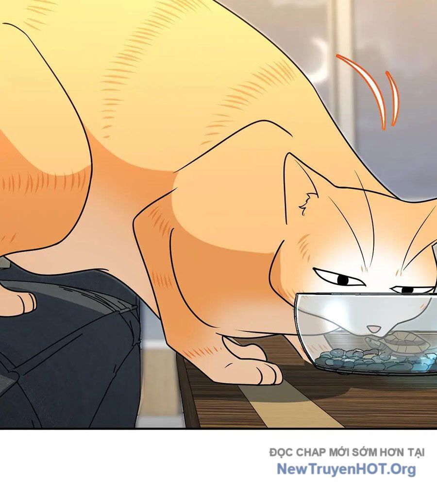 Bà Xã Nhà Tôi Đến Từ Ngàn Năm Trước Chapter 401 - Trang 2