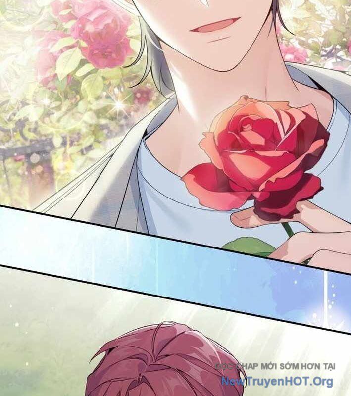 Hướng Dẫn Hồi Quy Dành Cho Thần Tượng Chapter 53 - Trang 2