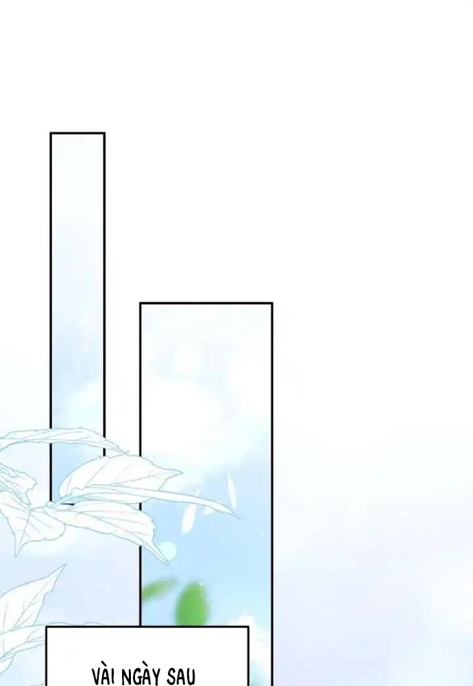 Thử Vai Cinderella Chapter 14 - Next Chapter 15