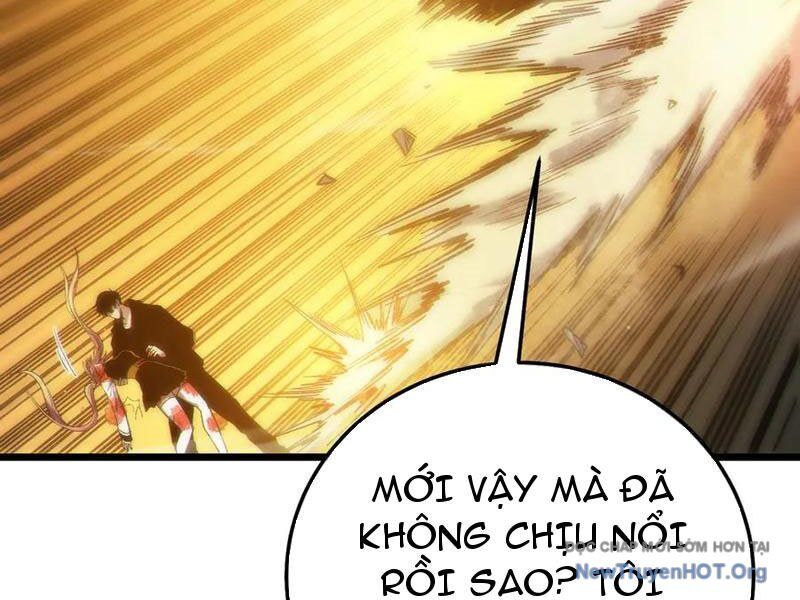 Vô Địch Bị Động Tạo Ra Tấn Sát Thương Chapter 98 - Trang 2