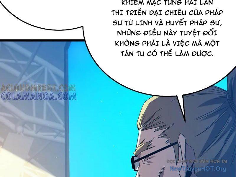 Vô Địch Bị Động Tạo Ra Tấn Sát Thương Chapter 98 - Trang 2
