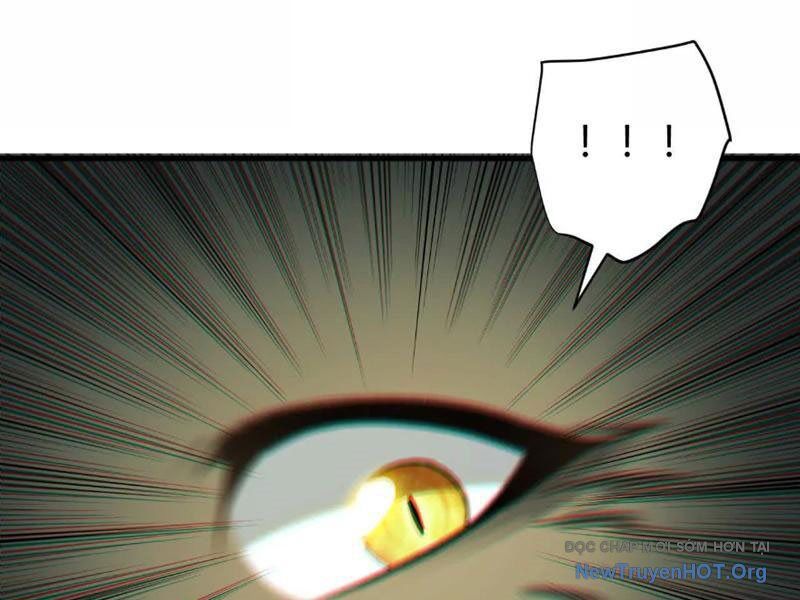 Tiên Vương Thú Liệp Pháp Tắc Chapter 5 - Next Chapter 6