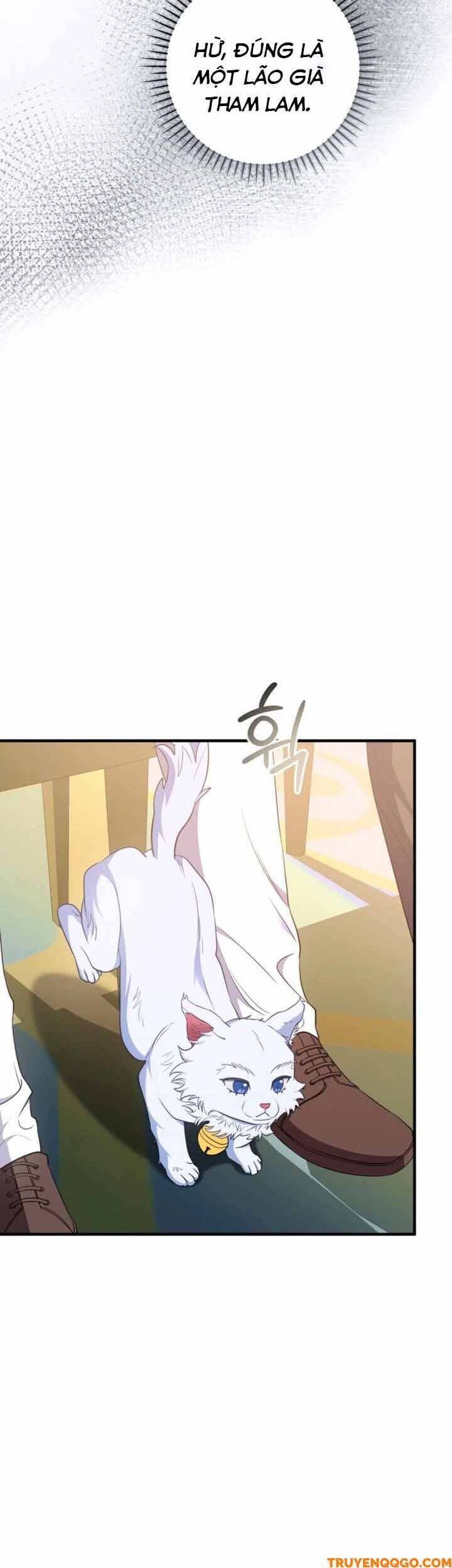 Your Majesty, Please Stop Now Chapter 29 - Next Chapter 30