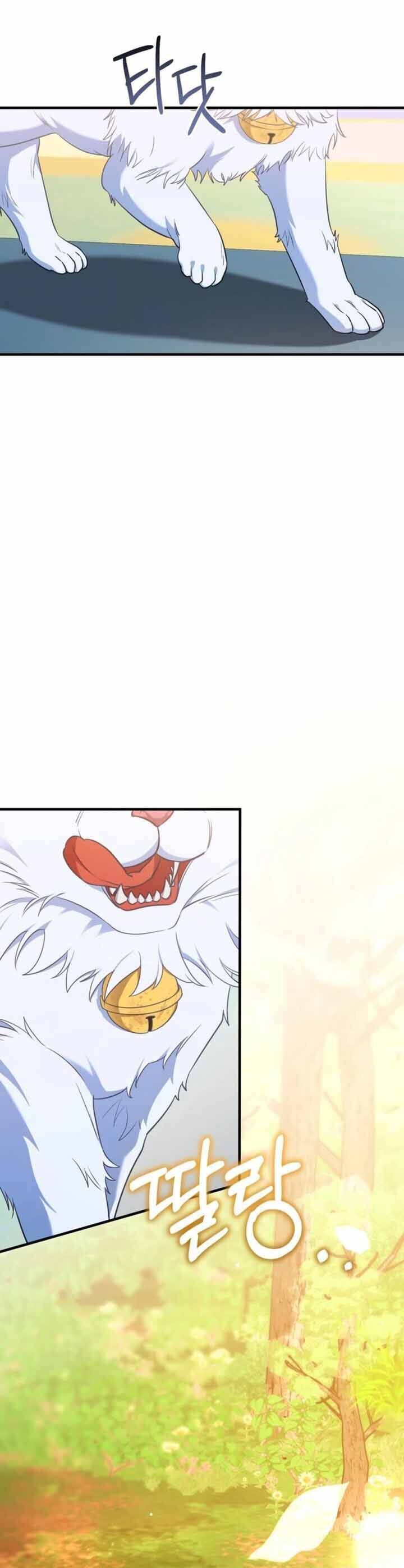 Your Majesty, Please Stop Now Chapter 29 - Next Chapter 30