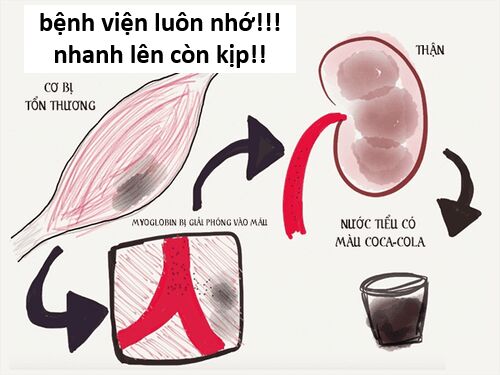 Hổ Đến Chơi Nhà (Puchimasu Miếu) Chapter 142 - Trang 2