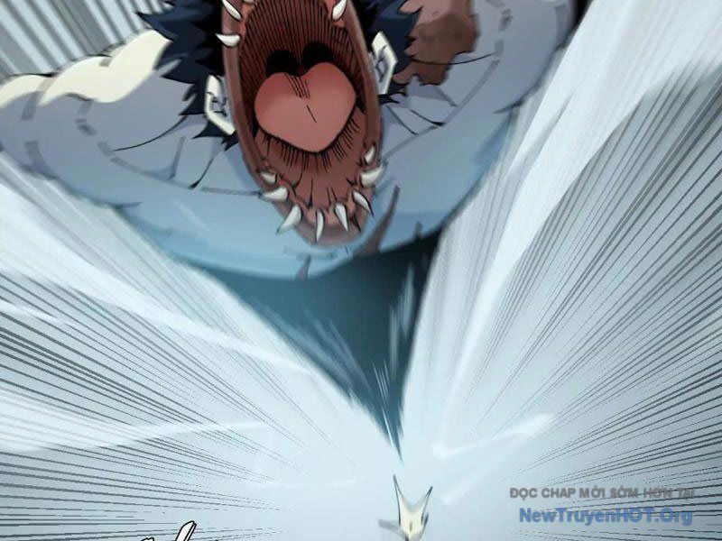 Tiên Vương Thú Liệp Pháp Tắc Chapter 5 - Next Chapter 6