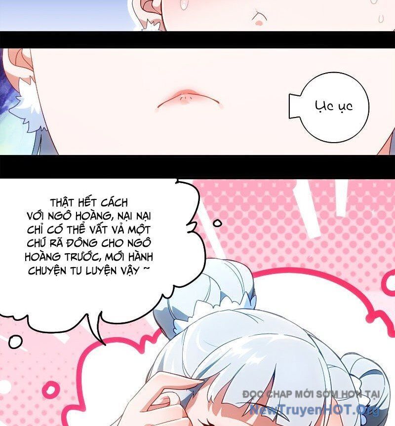 Tuyệt Sắc Đạo Lữ Đều Nói Ngô Hoàng Thể Chất Vô Địch Chapter 397 - Next 